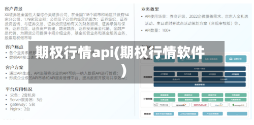 期权行情api(期权行情软件)