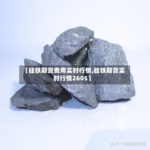【硅铁期货费用实时行情,硅铁期货实时行情2605】
