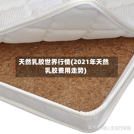 天然乳胶世界行情(2021年天然乳胶费用走势)-第2张图片