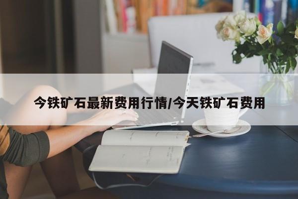 今铁矿石最新费用行情/今天铁矿石费用